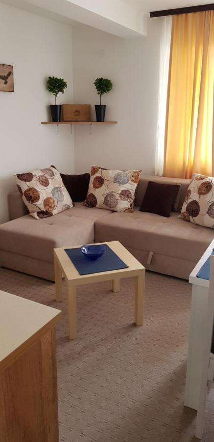 Dobricin Konak, Apartman 202 Копаоник Екстер'єр фото