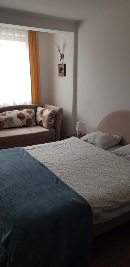 Dobricin Konak, Apartman 202 Копаоник Екстер'єр фото