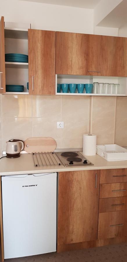 Dobricin Konak, Apartman 202 Копаоник Екстер'єр фото