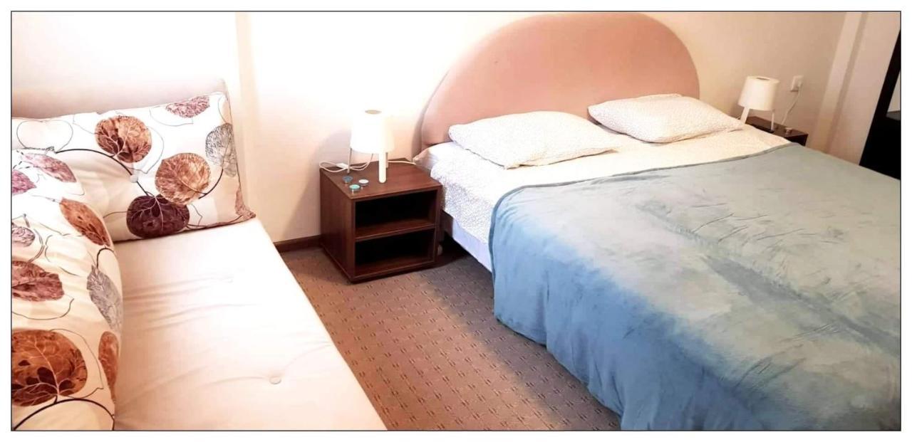Dobricin Konak, Apartman 202 Копаоник Екстер'єр фото