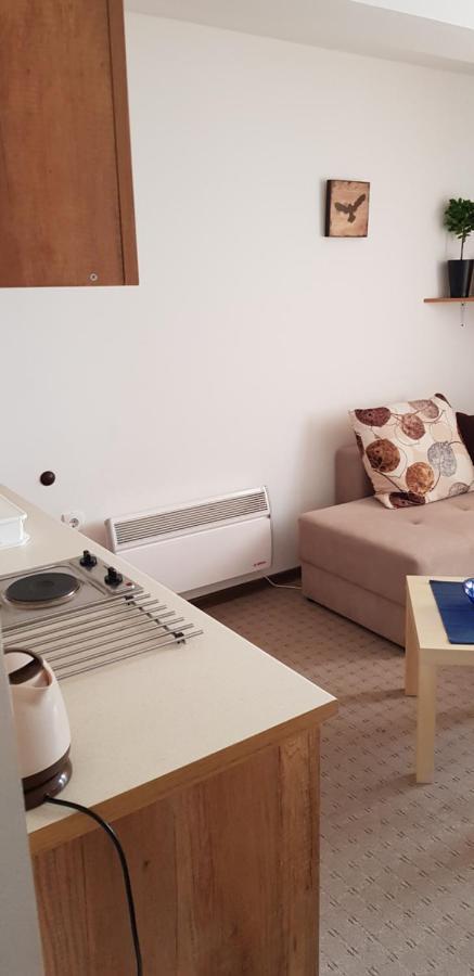 Dobricin Konak, Apartman 202 Копаоник Екстер'єр фото